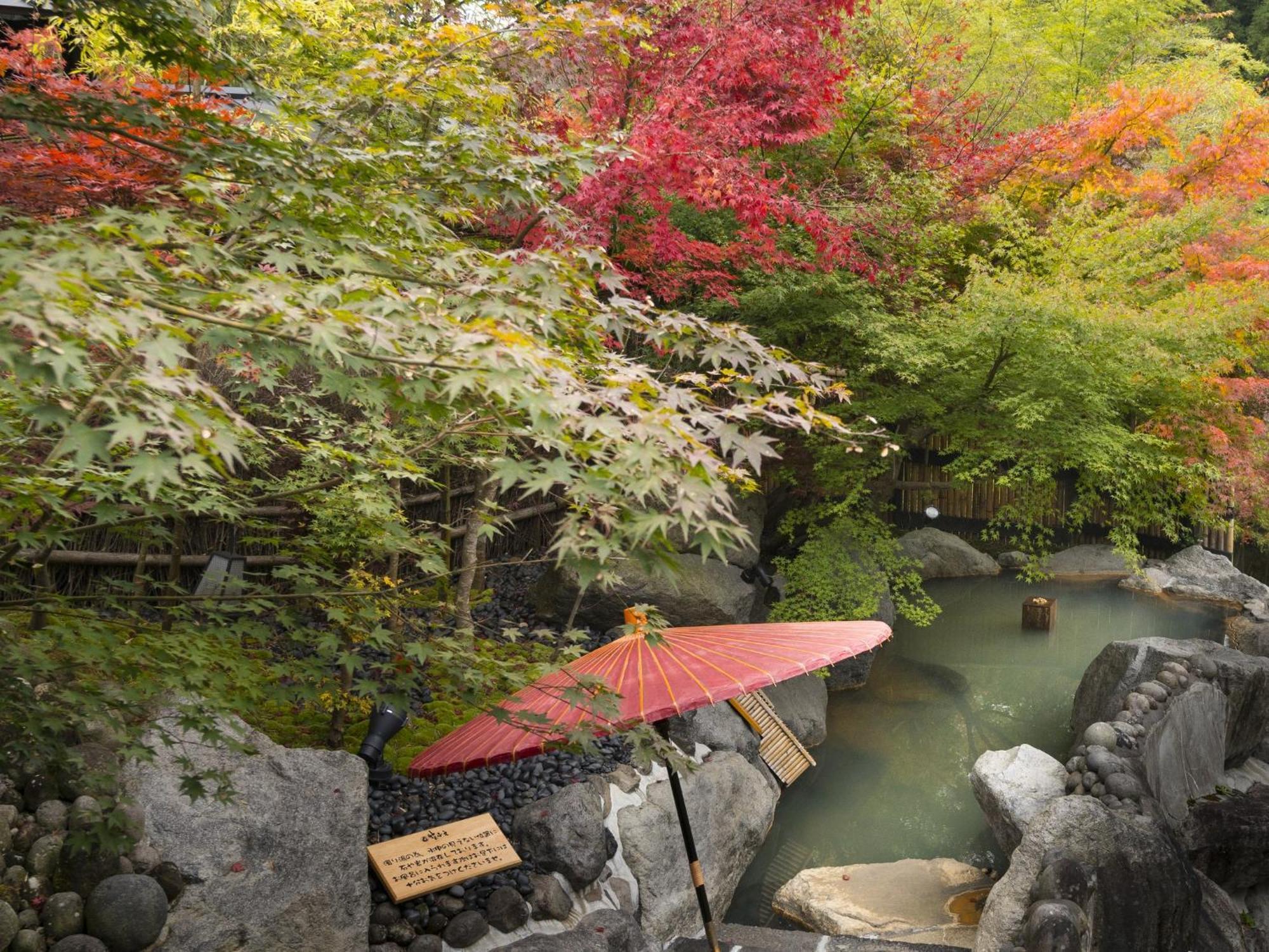 Hikyou Shirakawagensen Sansou Takefue Minamioguni Exterior photo